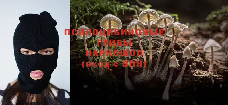 Галлюциногенные грибы Magic Shrooms  darknet как зайти  Кандалакша  mega ССЫЛКА 